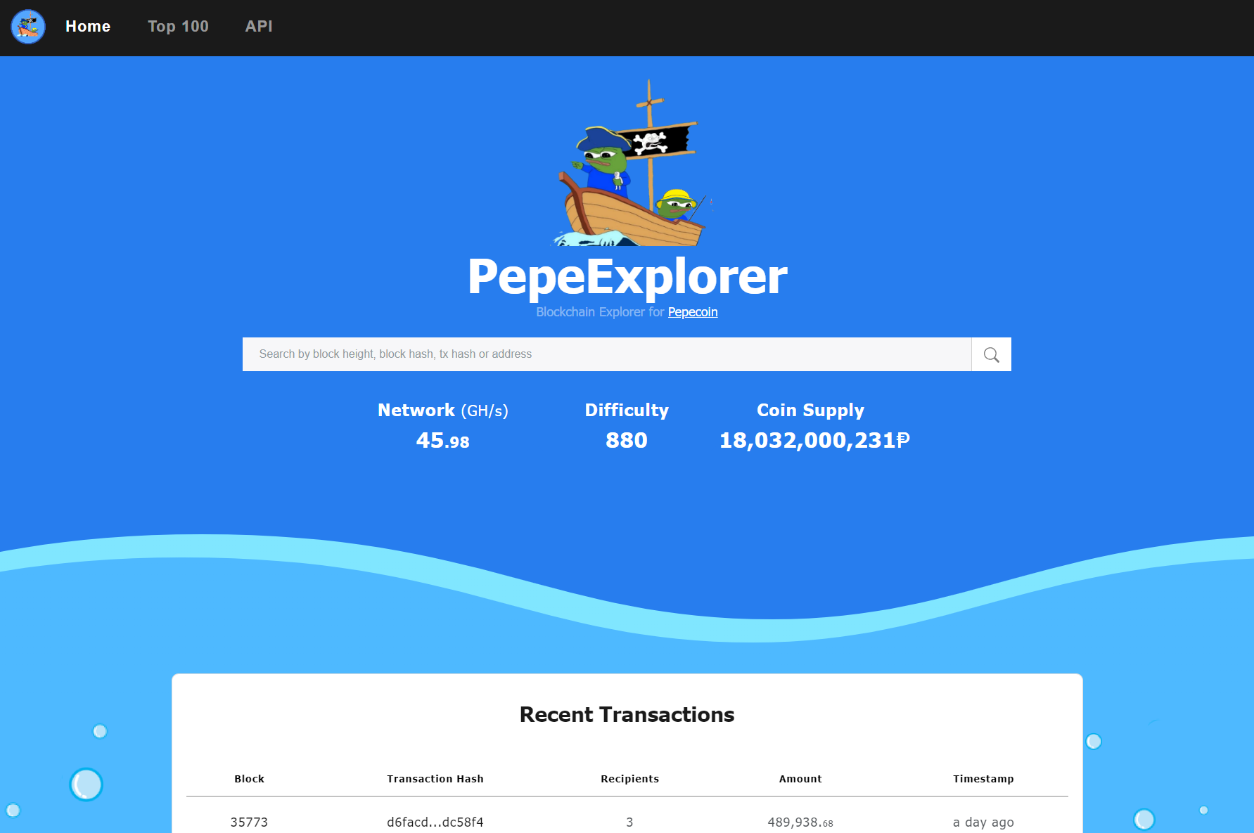 image of pepecoin explorer website